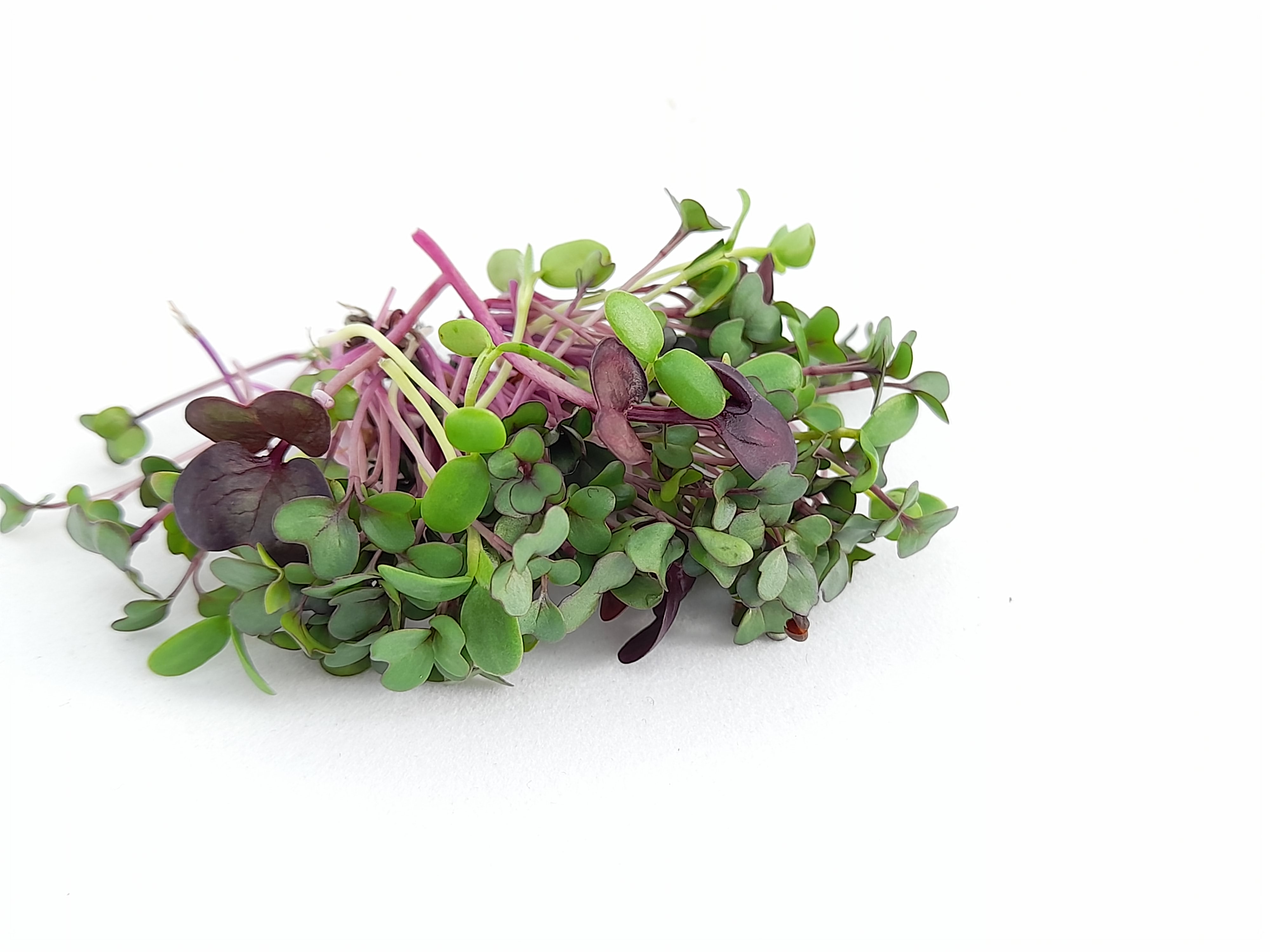 Bio Kostbarkeiten - Wellness Mix